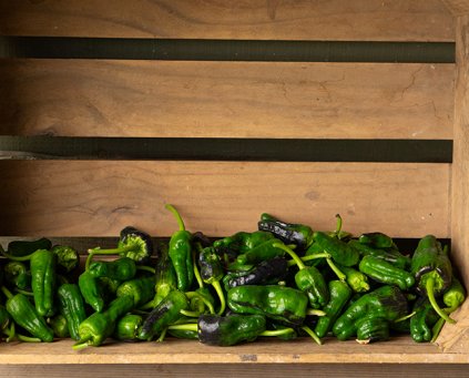 Padron Peppers