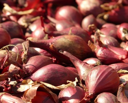 Onions - Long Red Florence (1kg)