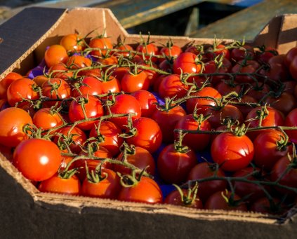 Tomato (Cherry) (250g) (Our Field)