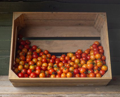 Tomato - Cherry Plum