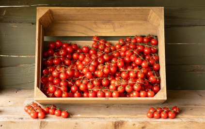 Tomato - Cherry Vine