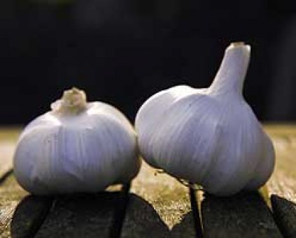 Garlic (Purple) (SPA) (100g)