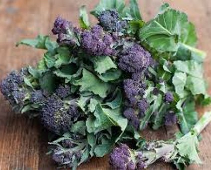 Purple Sprouting Broccoli (500g)