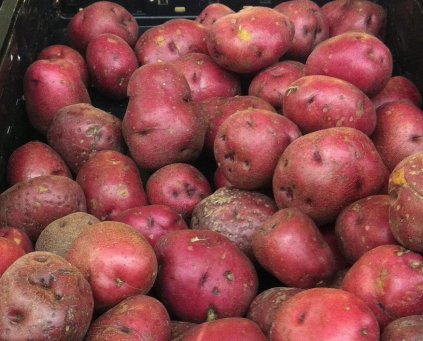 Potatoes (Red Manhattan) 1kg
