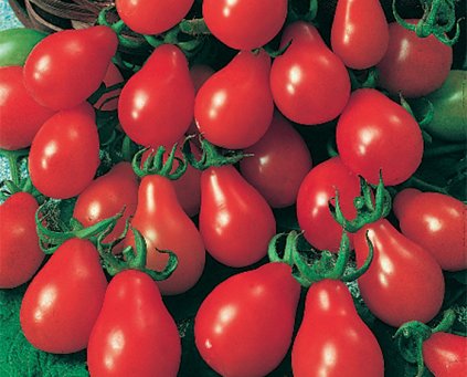 Tomatoes (Pear) (500g)