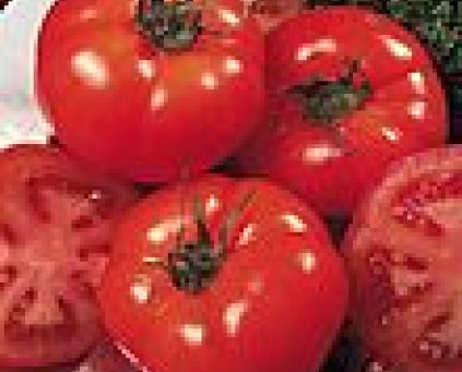 Tomatoes (Marmalindo/Rebelion) (500g)