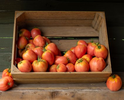 Tomato - Beefsteak