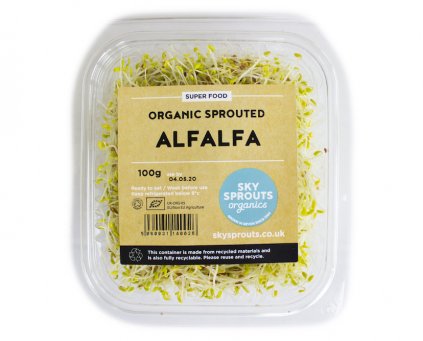 Sprouted Alfalfa 
