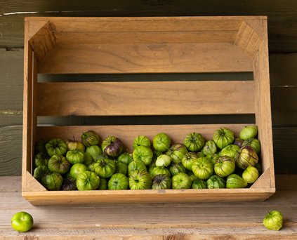 Tomatillo