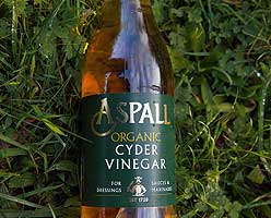 Cider Vinegar