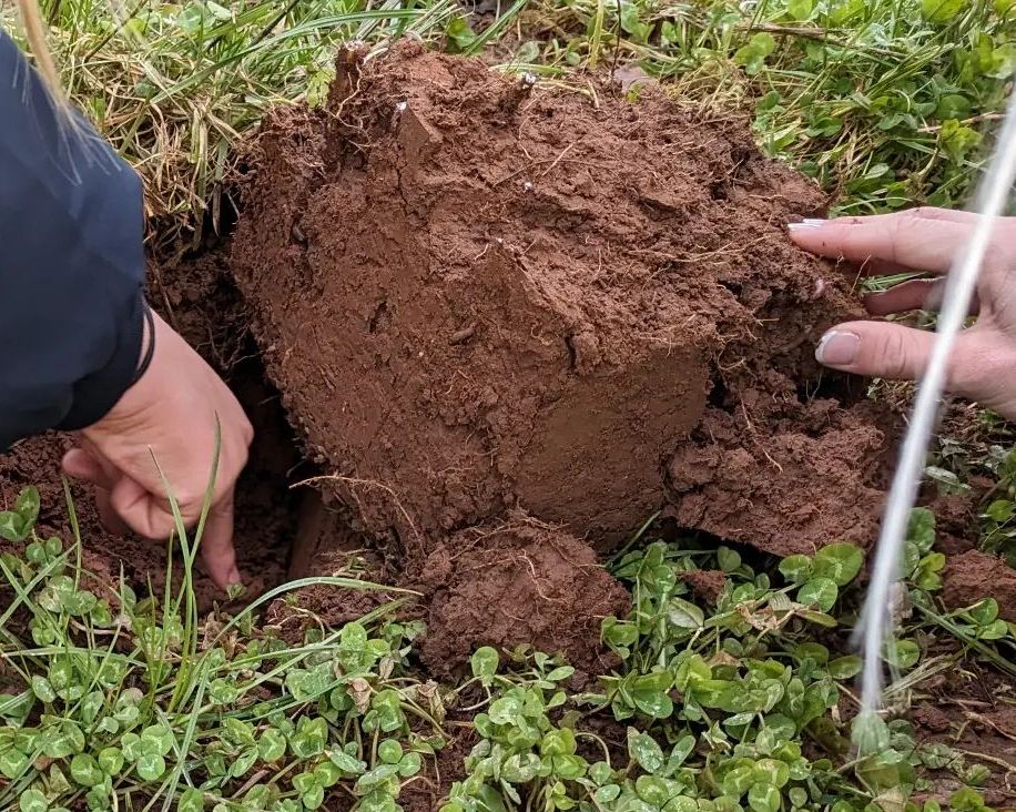 The Community Farm Organic Veg Box Delivery Bristol Bath WestonSuper