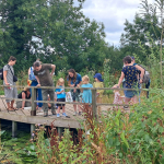 Pond dipping