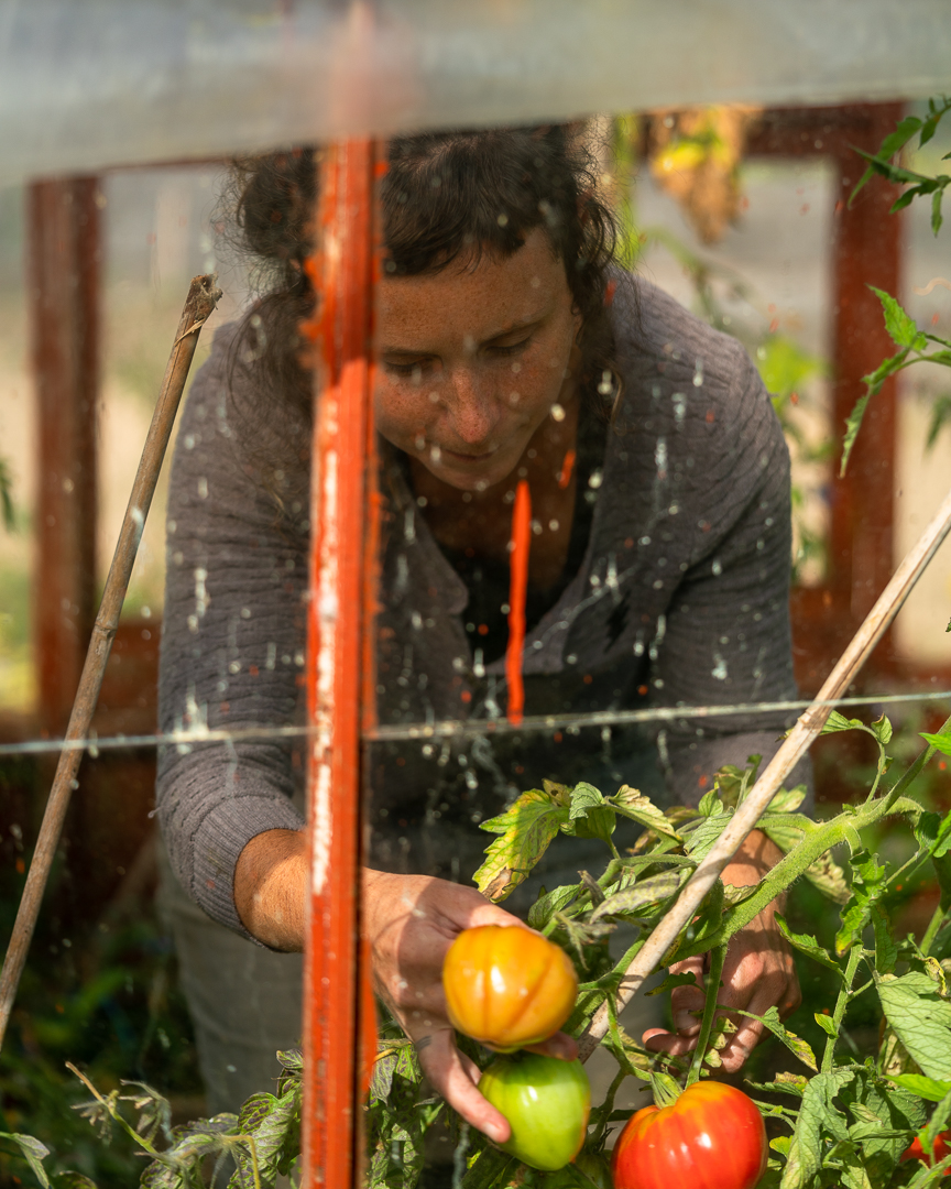 Seasonal Organic Growing Course