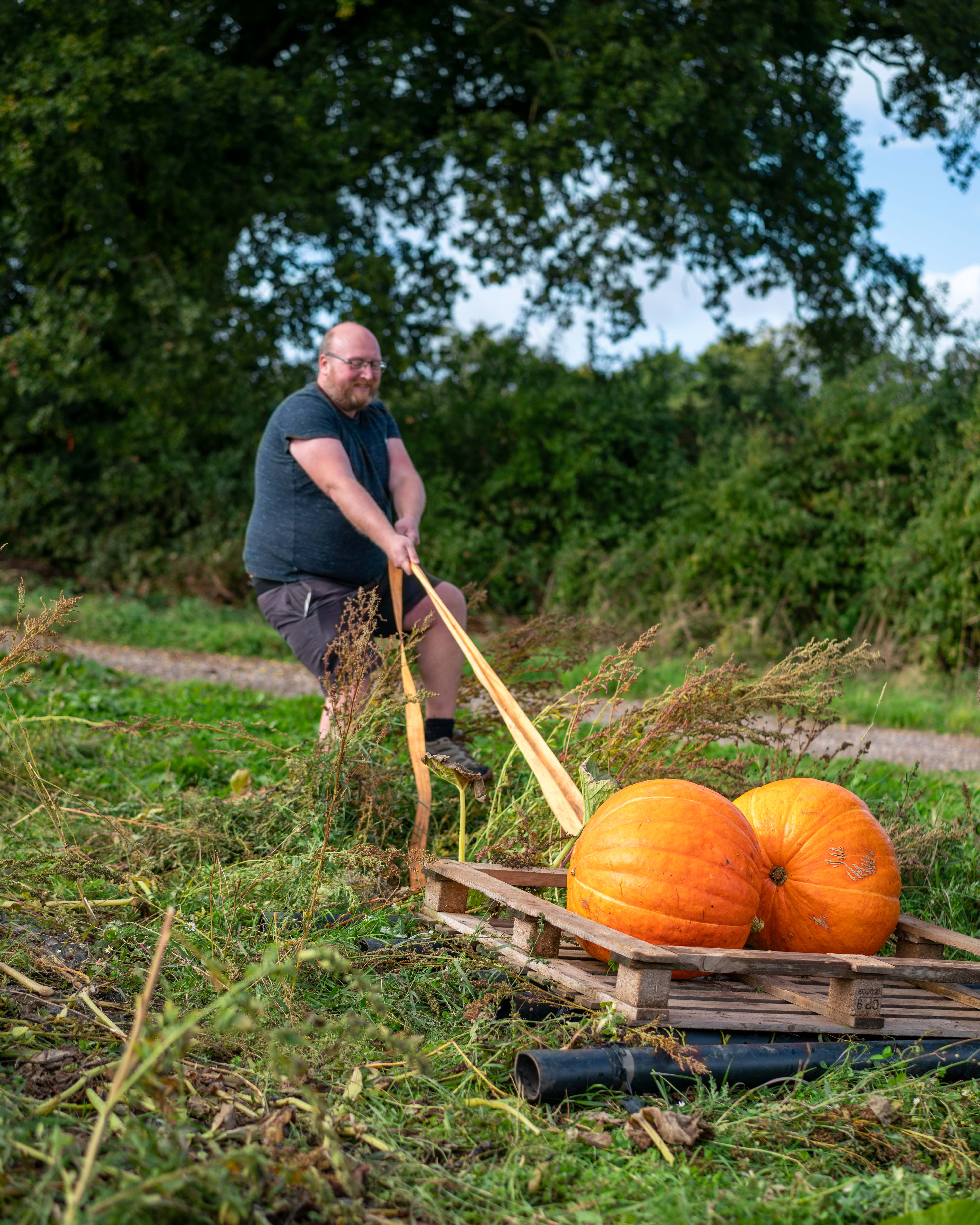 Autumn Community Farmer Day