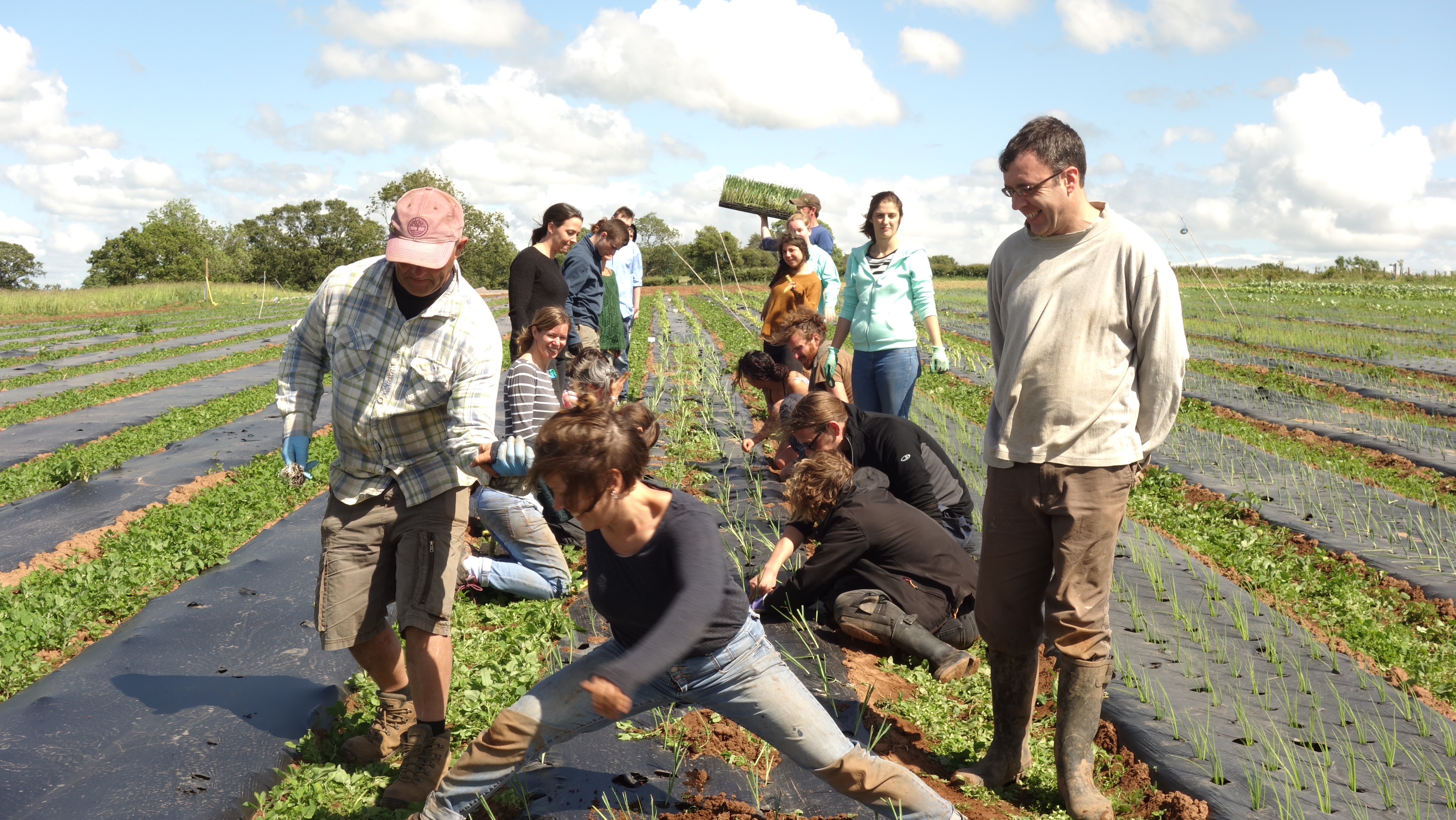 Community Farmer Day - weeding, hoeing and the first harvest