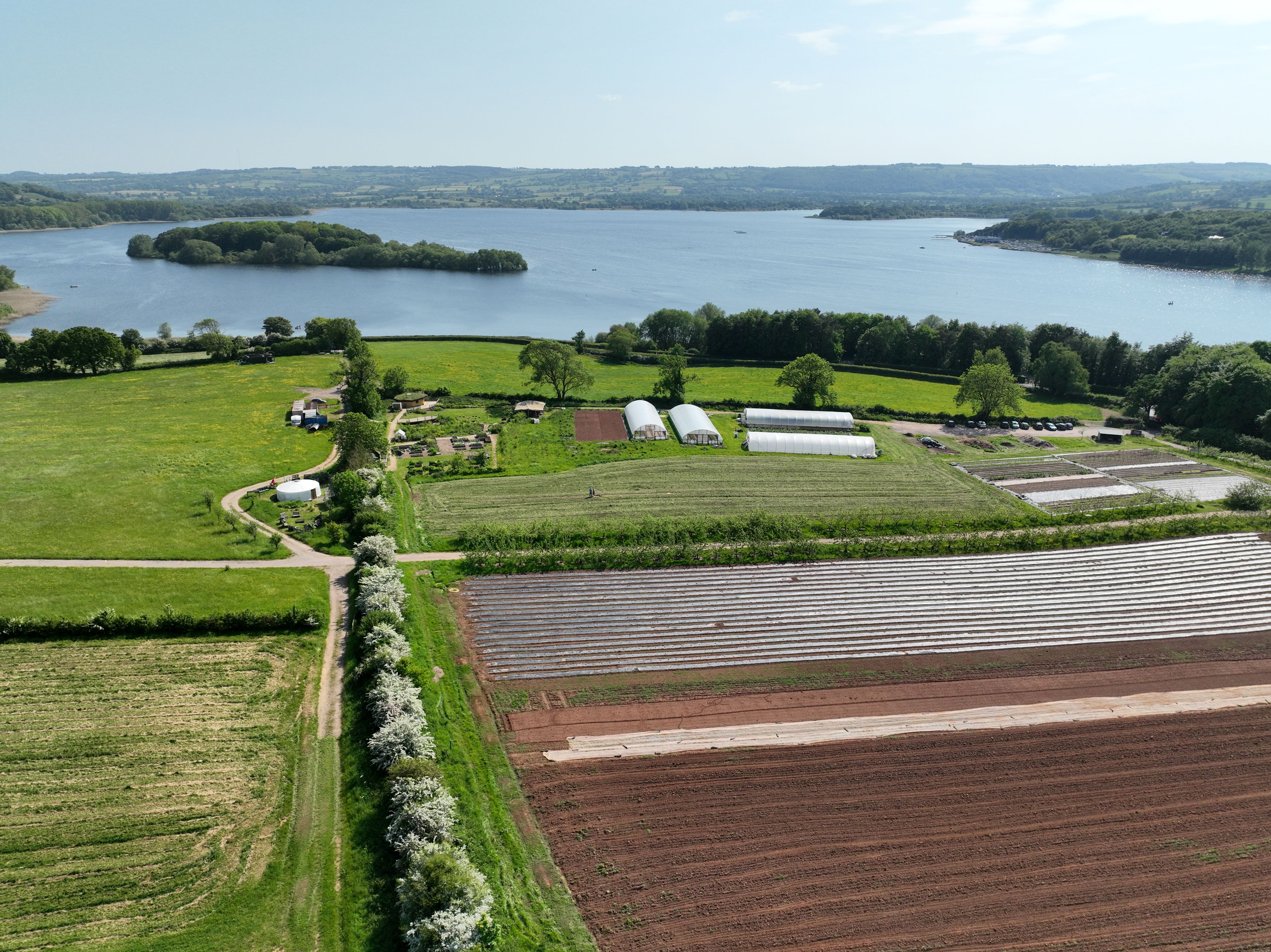 Annual General Meeting 2025