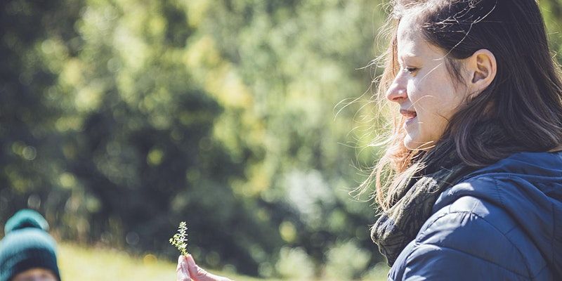 Forage & Make - spring tonics