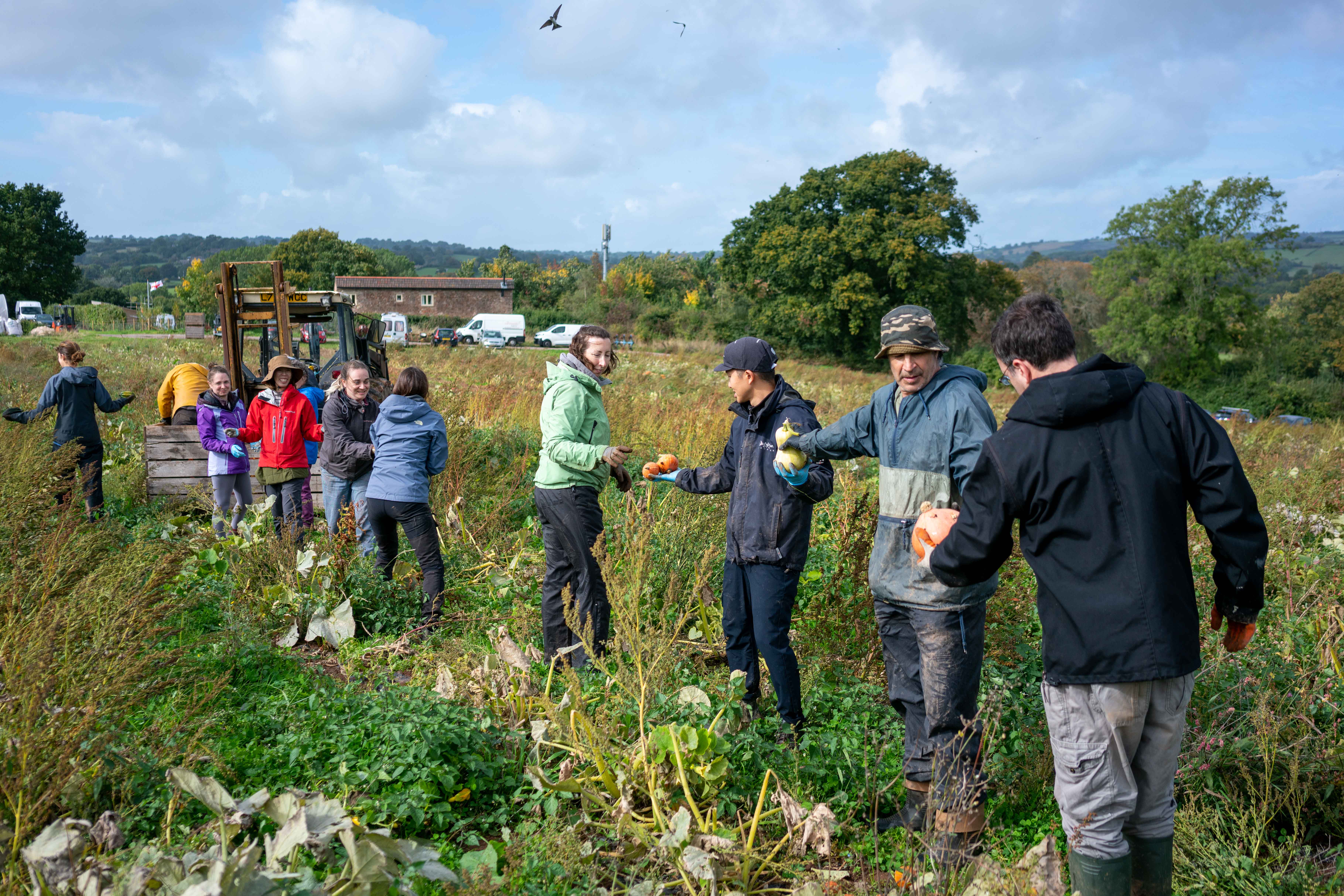 Autumn Community Farmer Day