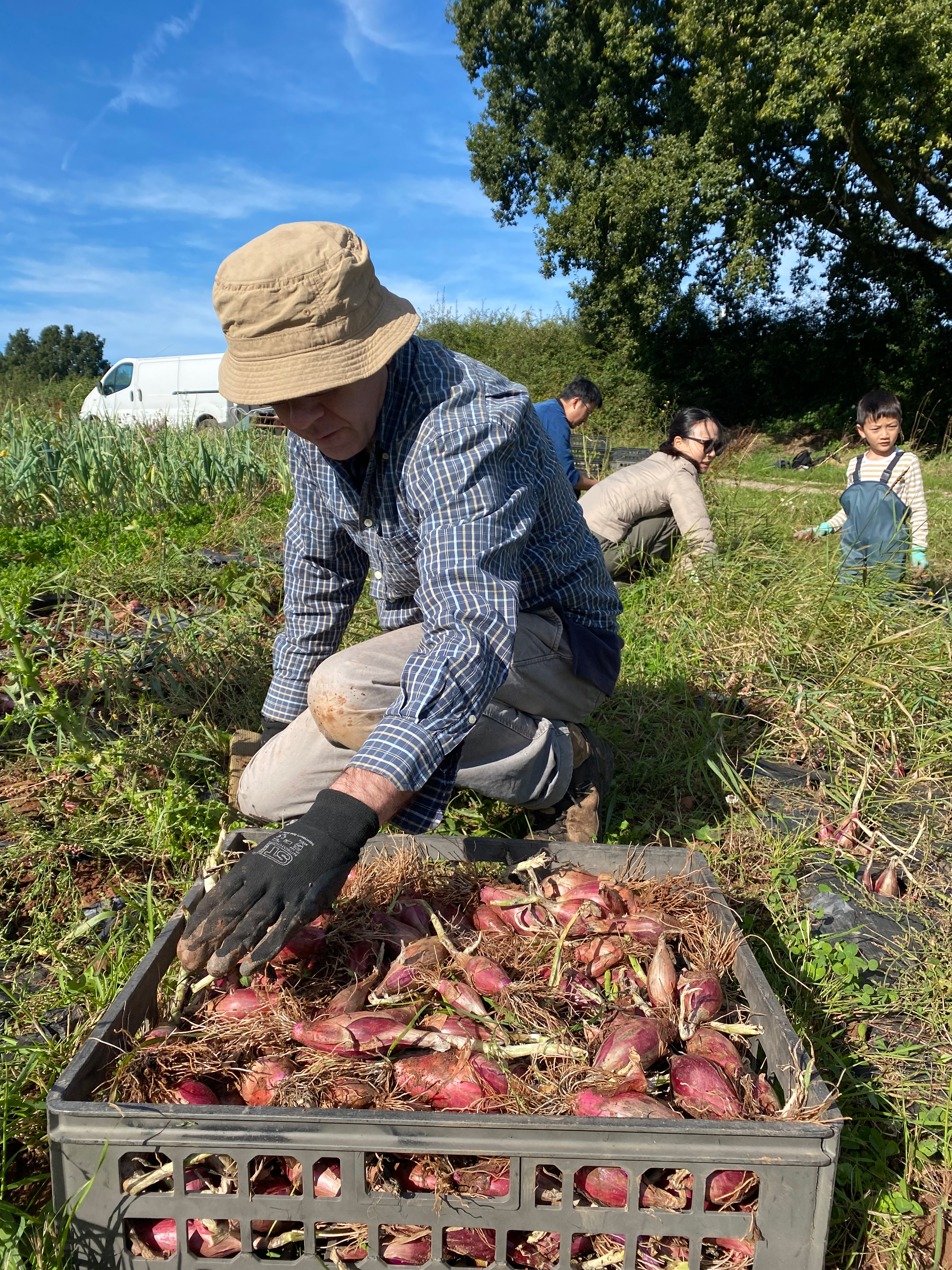 Autumn Community Farmer Day