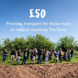 POSTED_50_donation_amount