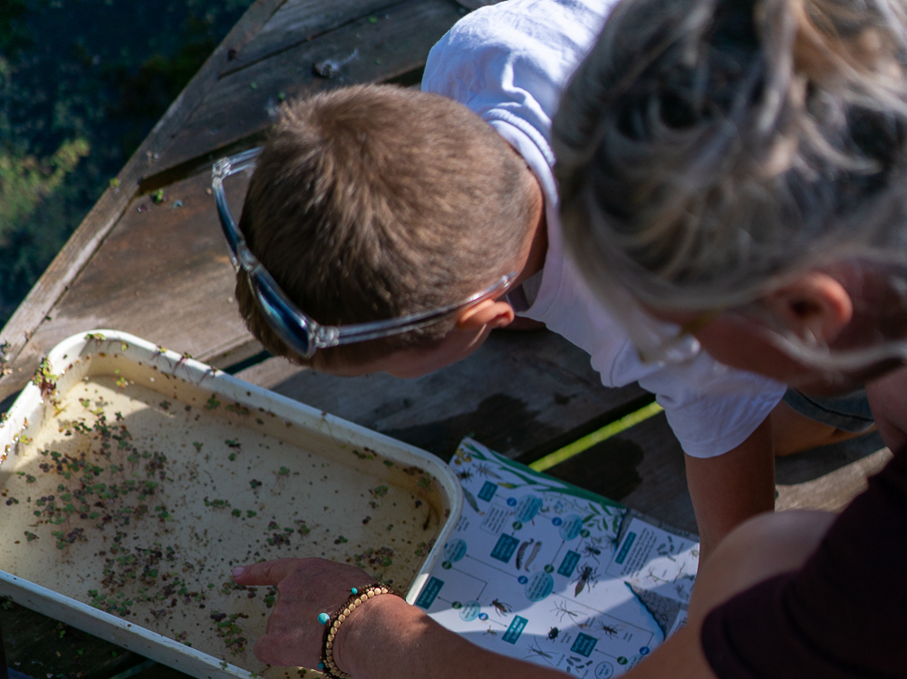 Family Nature Connection Morning