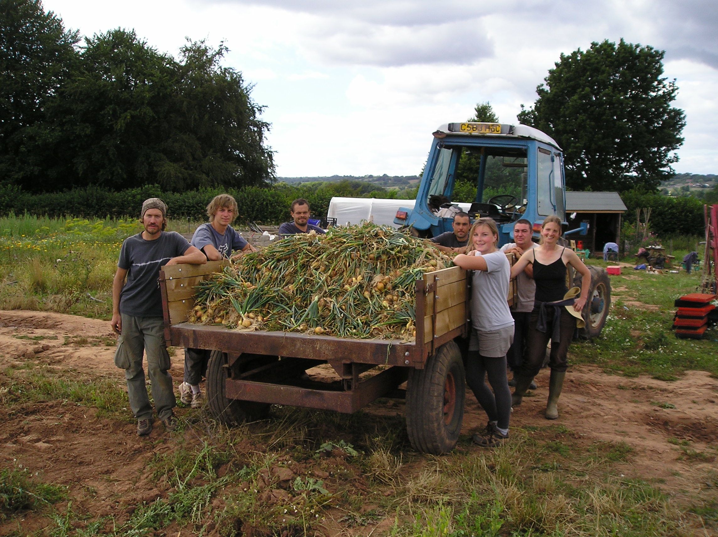 This Week's Box Bulletin and Recipes