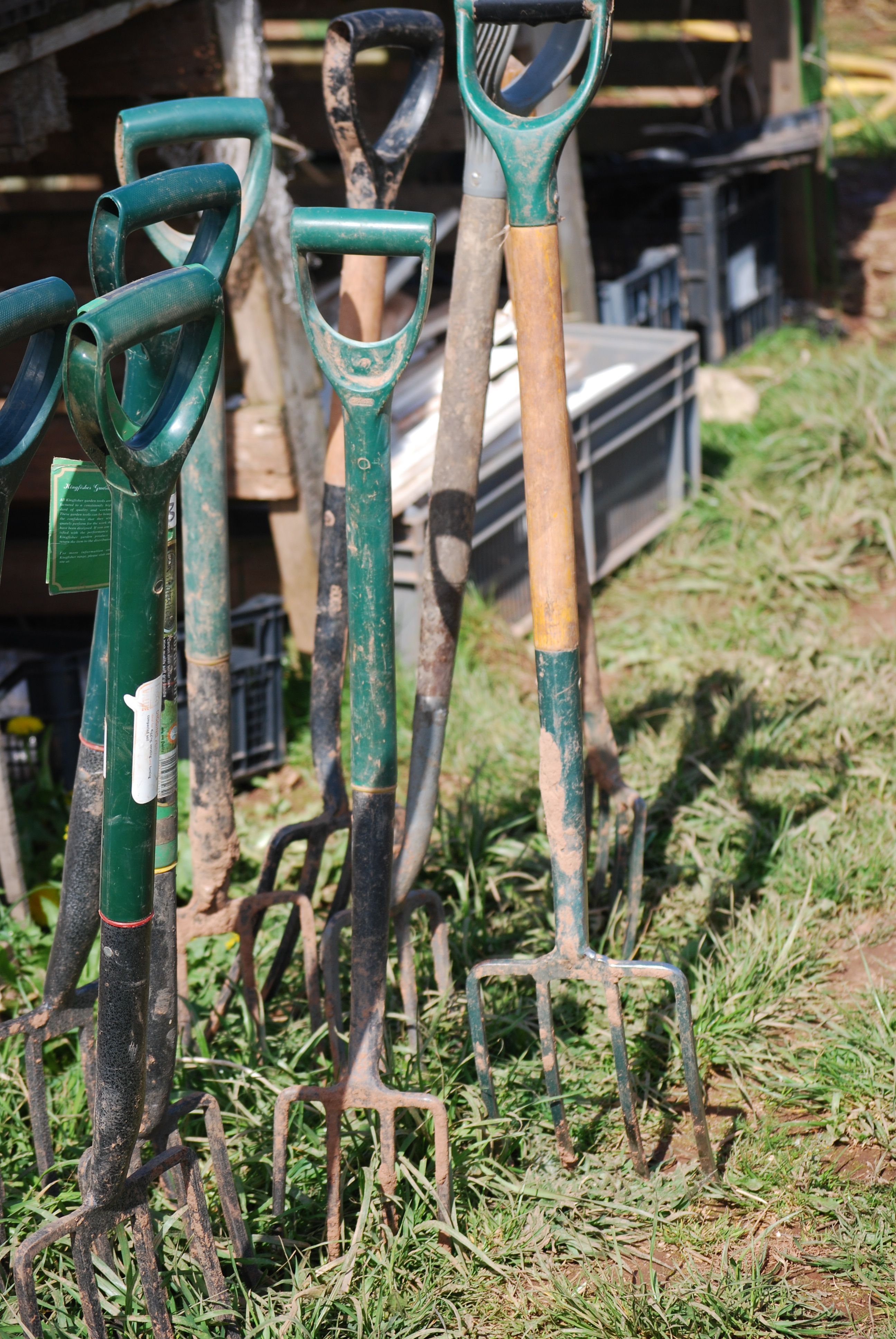 Team days at the Farm