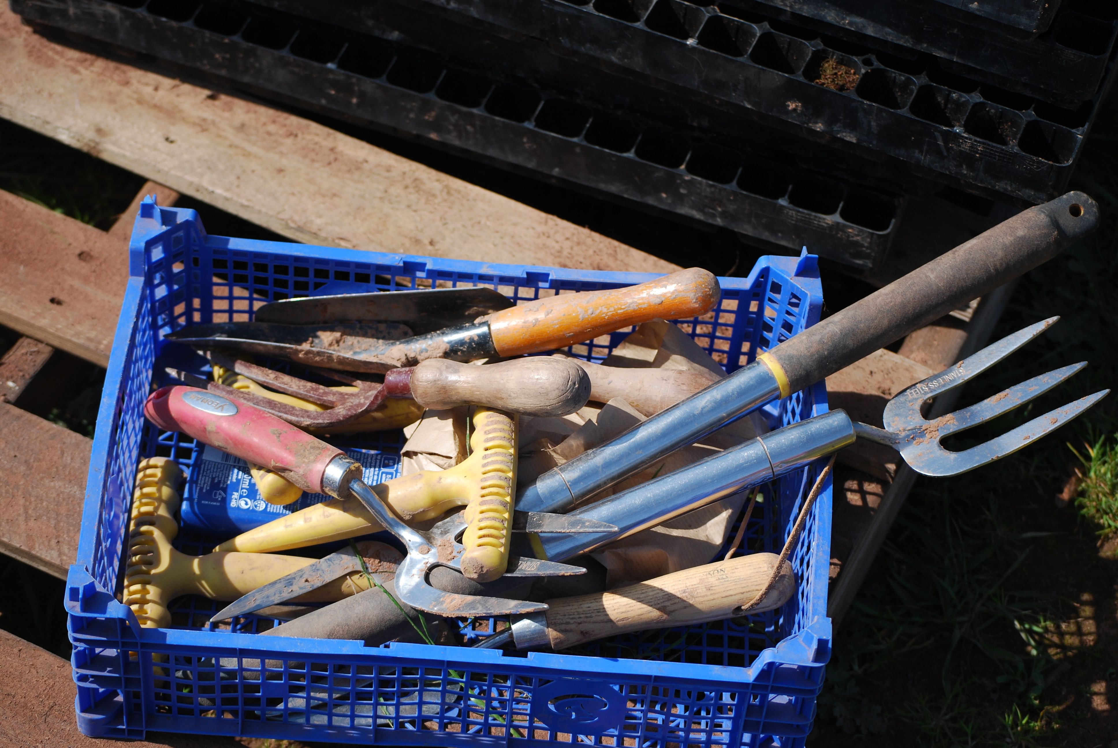 Hoe, hoe, hoe - Merry Christmas