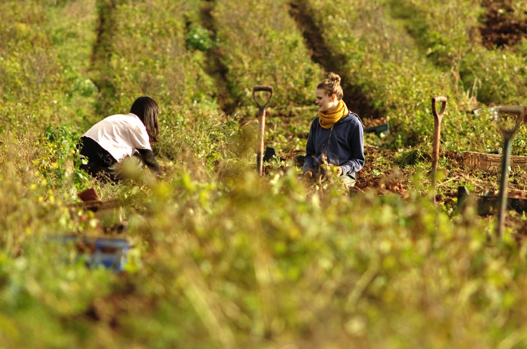 The Oxford Real Farming Conference - "A Cross-The-Board Rethink"