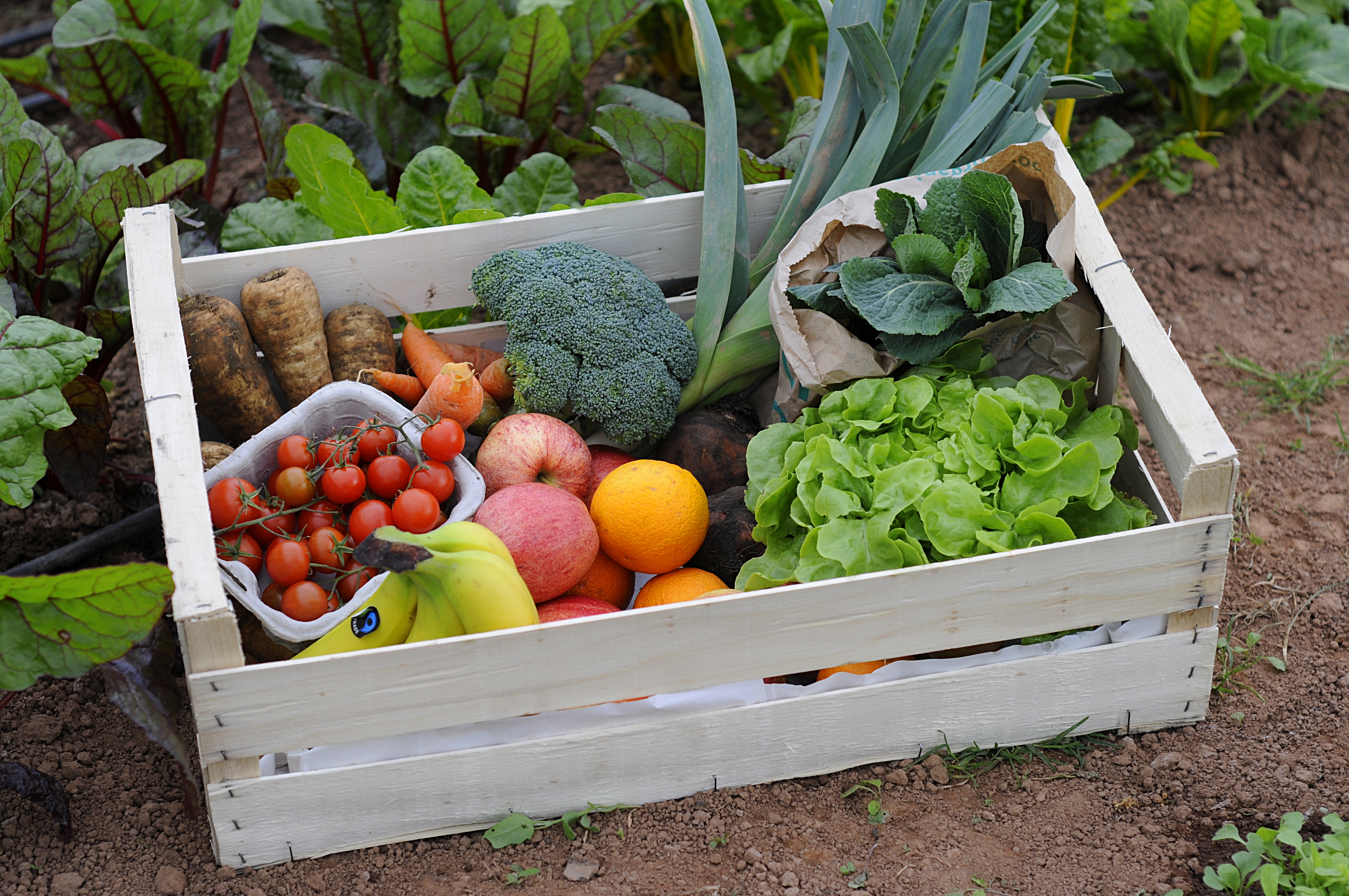 We now deliver to central Bath!