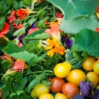 Celebrate the Harvest with us - Saturday 15th September