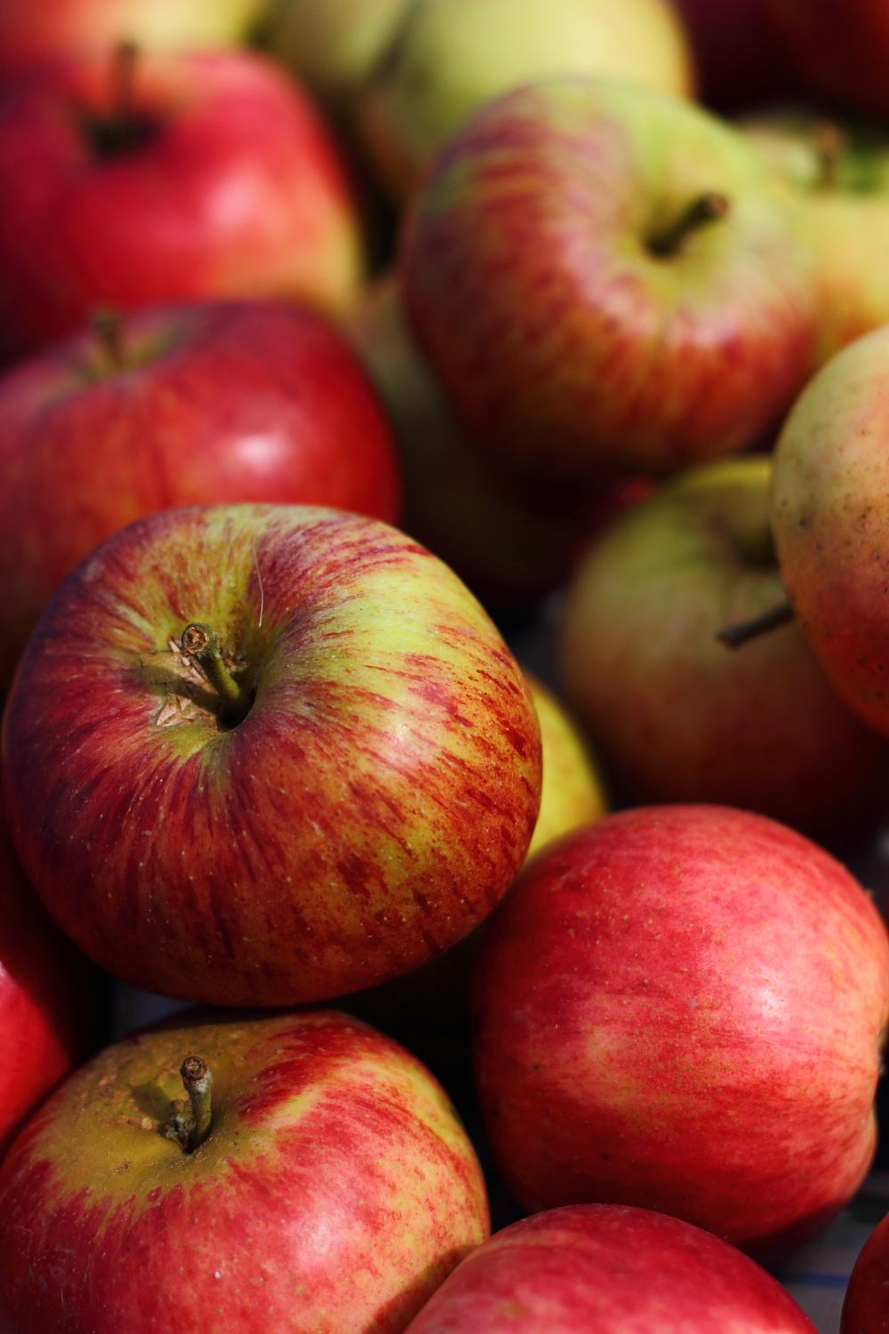 Local Apple Cider Vinegar now available