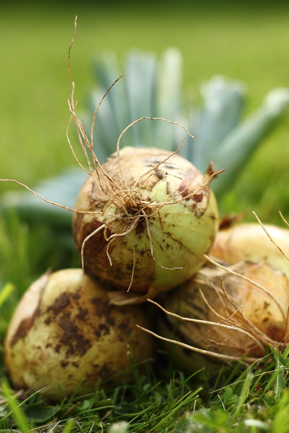 Bristol Good Food Awards - we've been shortlisted!