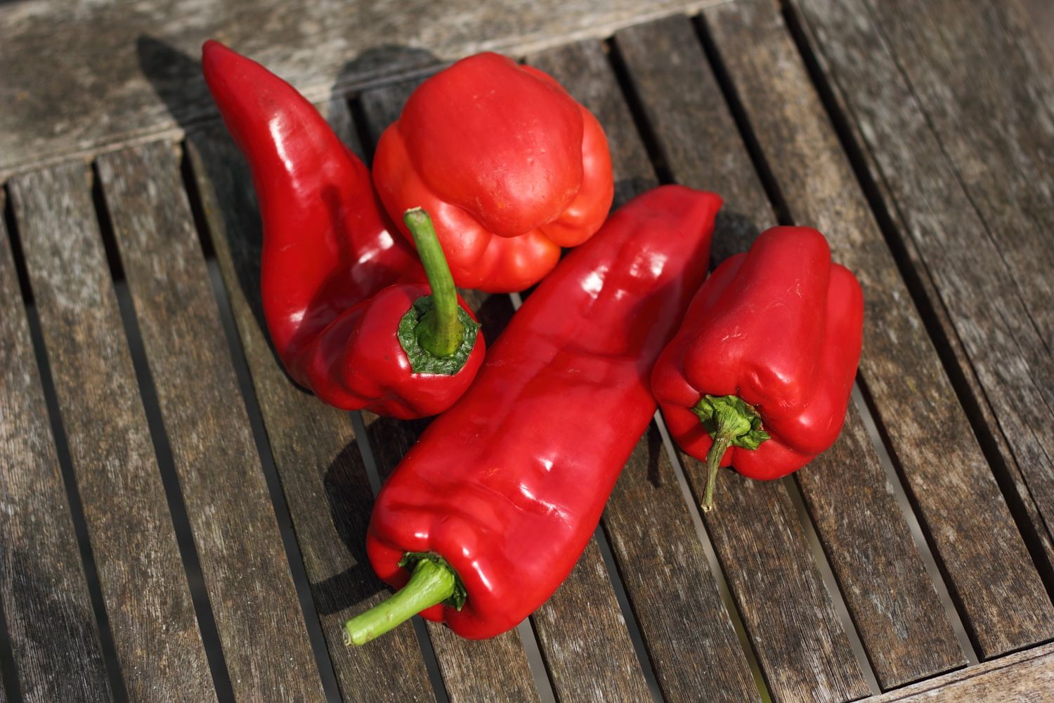 Harvest Celebration programme - 15th September