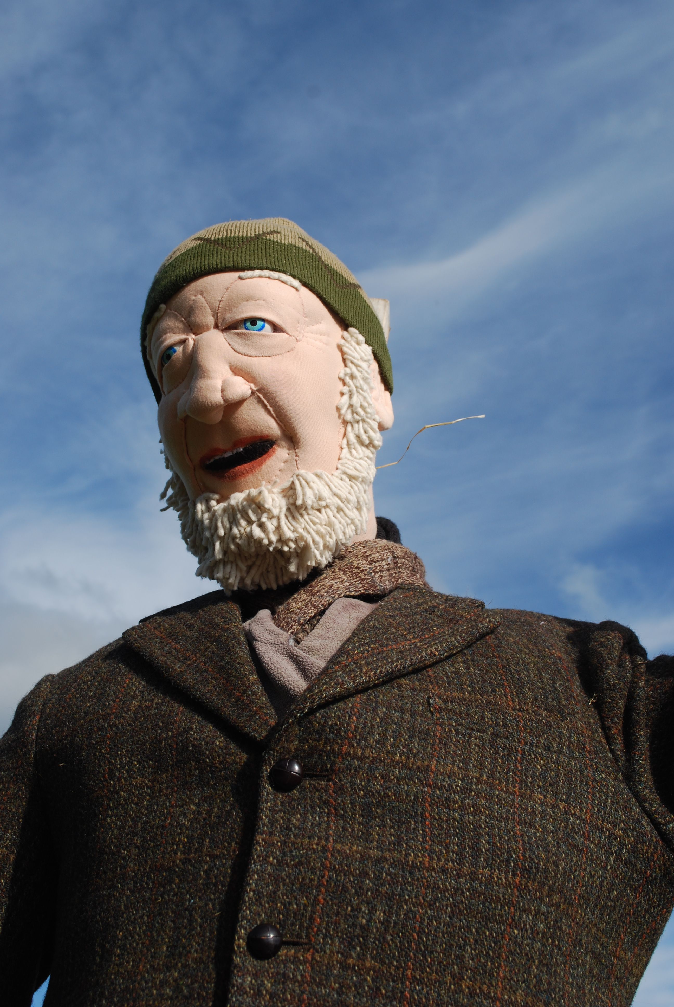 The Great Free Range Egg Hunt!