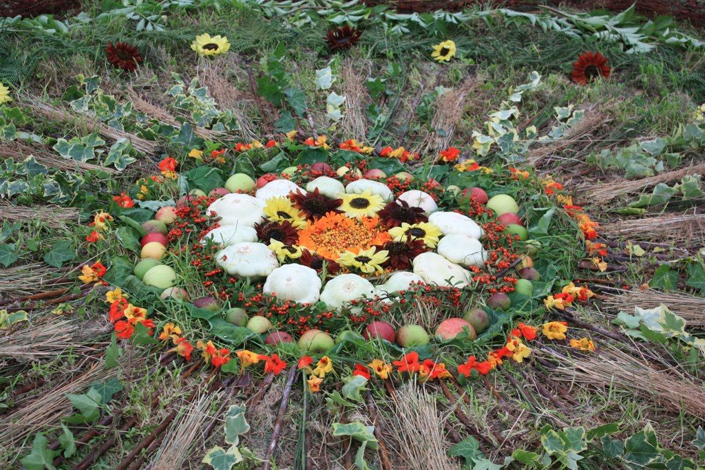 Yurt Launch Celebration