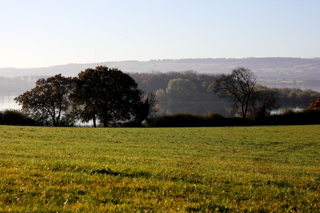 Deadline midday 11th December: Finance Director position 