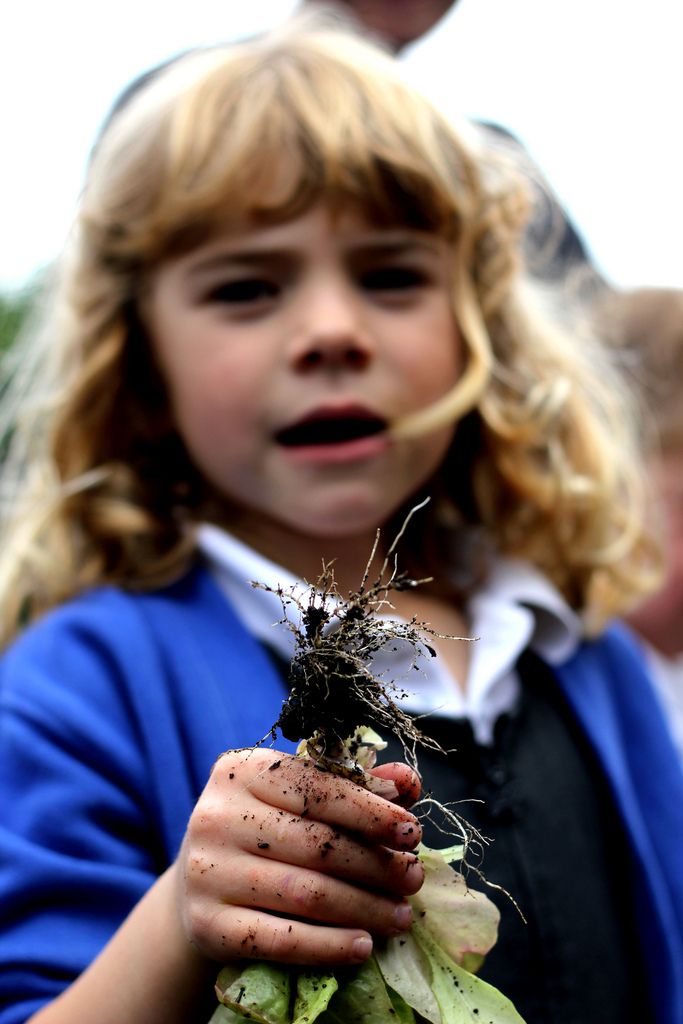 Volunteering with a difference