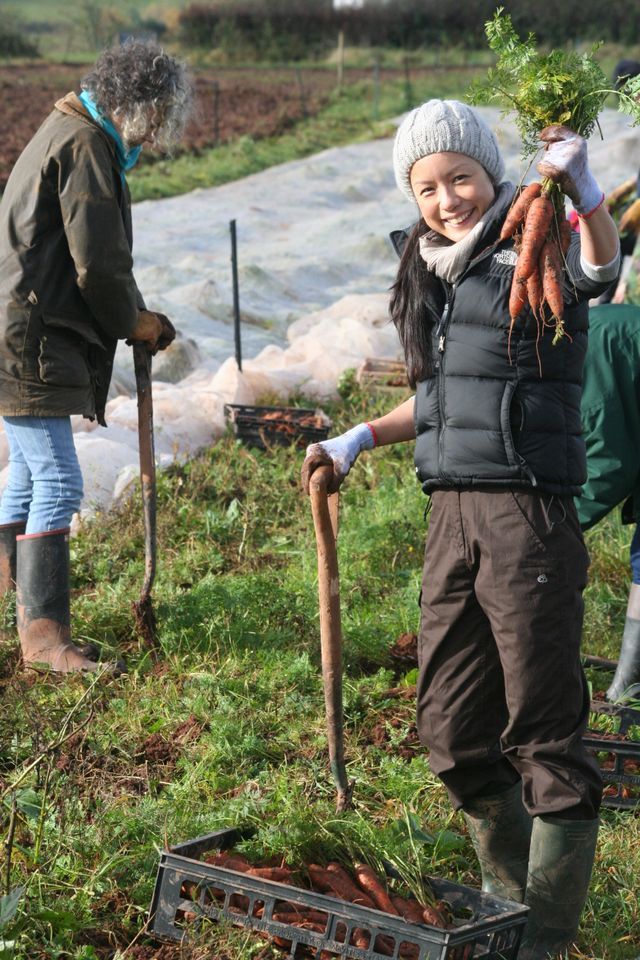 November's Community Farmer Day