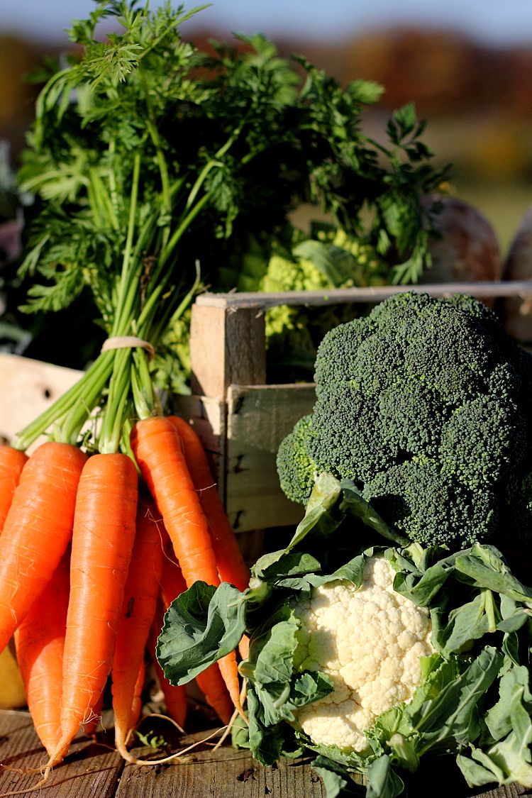 Seasonal vegetables delivered to your door The Community Farm