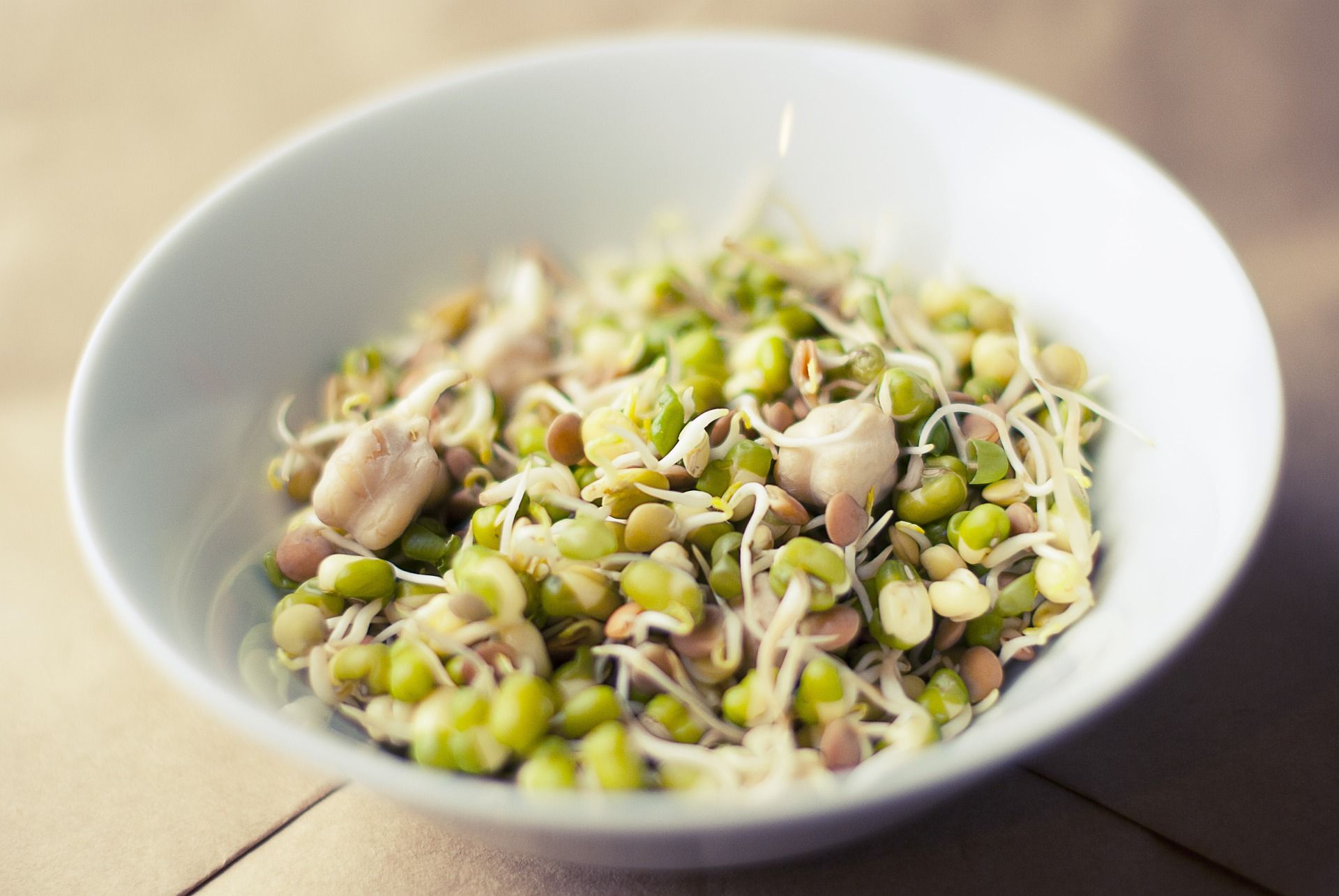 Vegetable of the month: sprouted beans