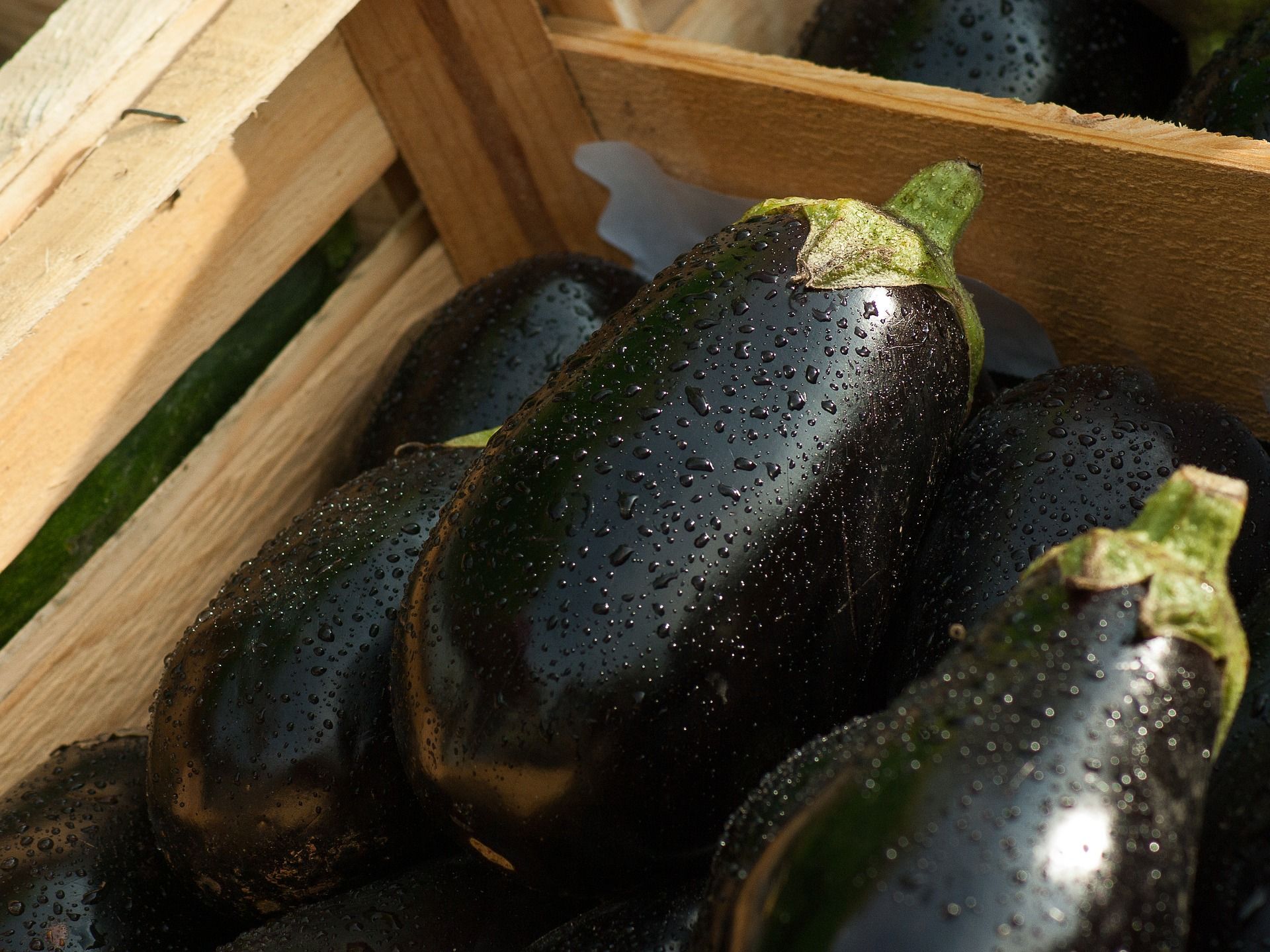 Vegetable of the Month: Aubergine