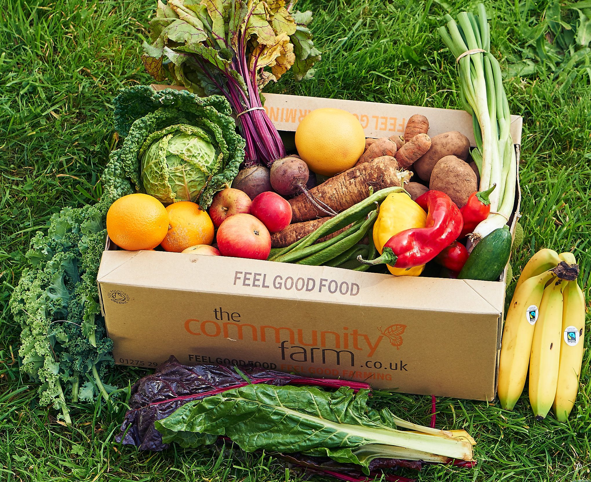 News From The Farm: August 2018