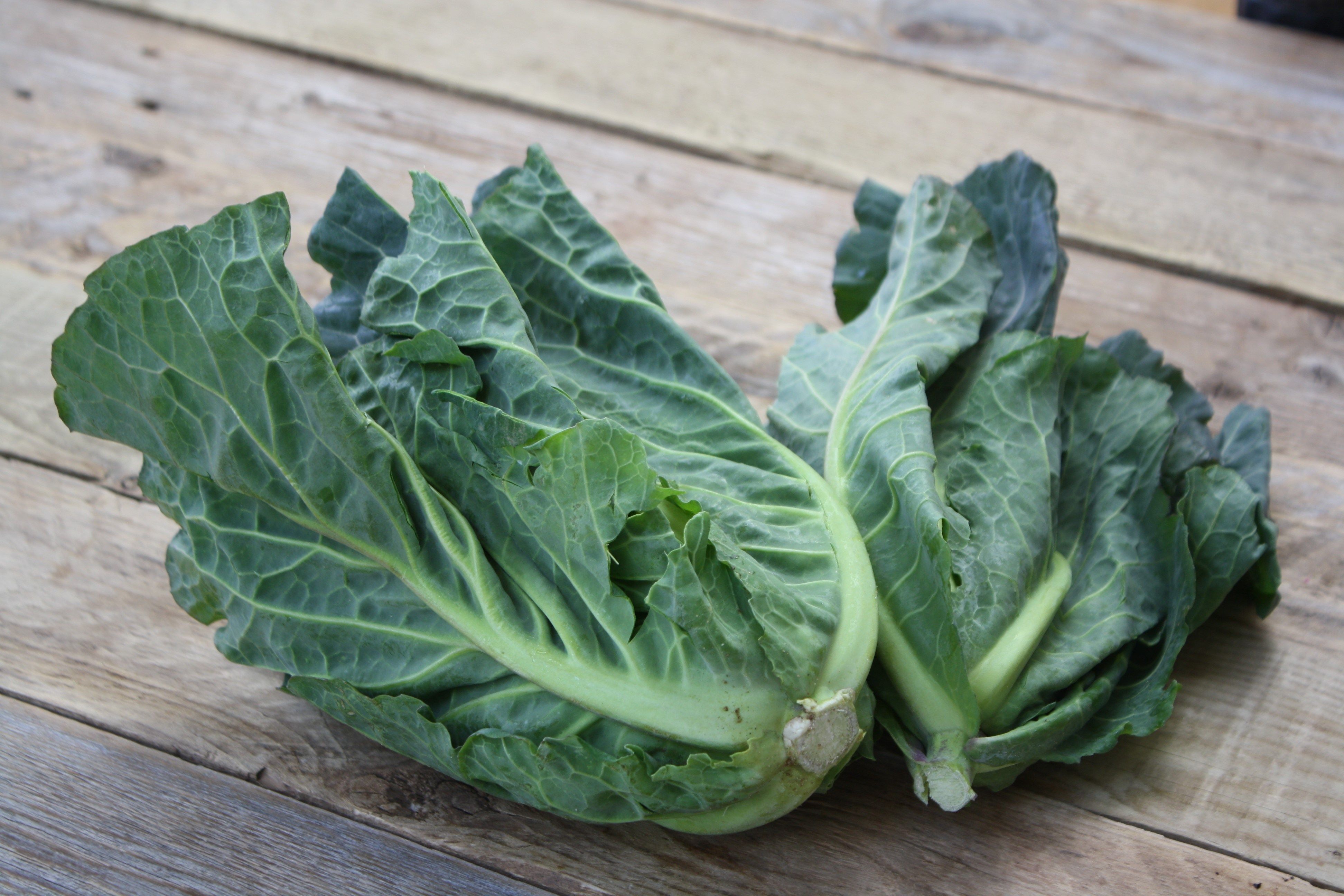 Veg of the month: Spring Greens