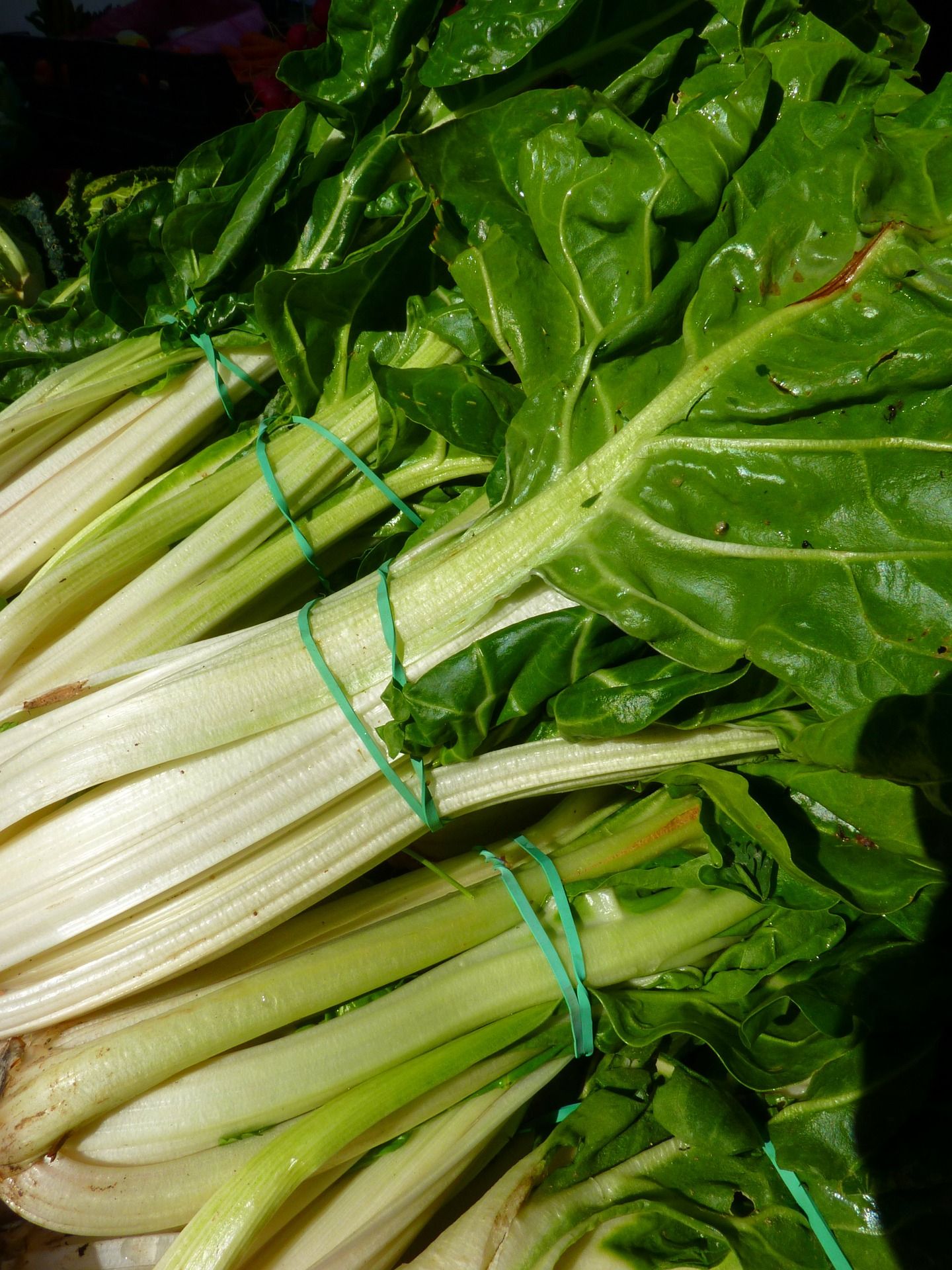 Veg of the month: Swiss Chard