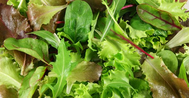 Veg of the Month: Winter Salad