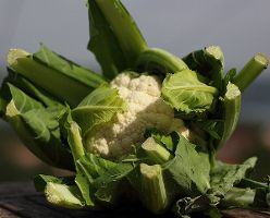 Veg of the Month: Cauliflower