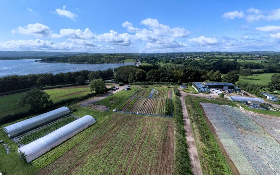 The community farm fields