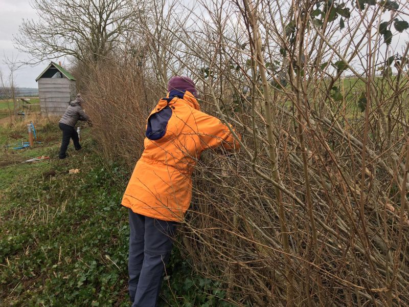 42b6f723 4d29 4de9 974b Ea0d322cd84b