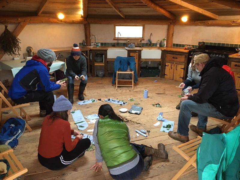 The Community Farm Organic Veg Box Delivery Bristol Bath WestonSuper